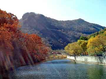 新澳天天开奖资料大全旅游团，铜板画